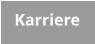 Karriere