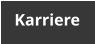 Karriere
